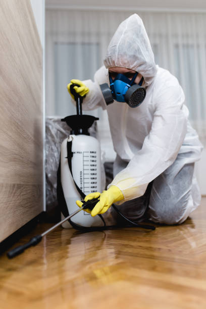 Emergency Pest Control Services in Lake Mills, IA